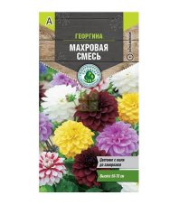 Семена Тимирязевский питомник цветы георгина Махровая смесь 0,2 г
